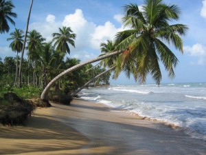 meteo las terrenas
