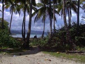 meteo rio san juan
